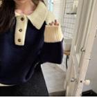 Paneled Polo-neck Sweater