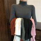 High-neck Plain Long-sleeve Top