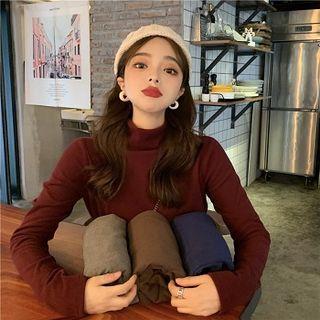 Plain Turtle-neck Fleece Long-sleeve Sweater