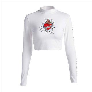 Long-sleeve Embroidered Cropped Knit Top