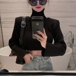Cropped Turtleneck Knit Top