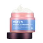 Mizon - Intensive Skin Barrier Cream 50ml 50ml