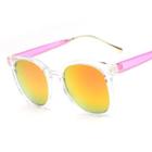 Colour Block Sunglasses