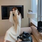 Plain Turtle-neck Loose-fit Long-sleeve Knit Dress