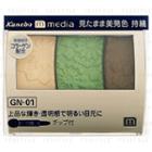 Kanebo - Media Grade Color Eyeshadow (#gn-01) 3.5g