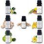 Aster Aroma - Essential Oil 10ml - 7 Types