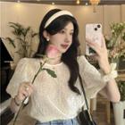 Puff Short-sleeve Round-neck Flower Velvet Top
