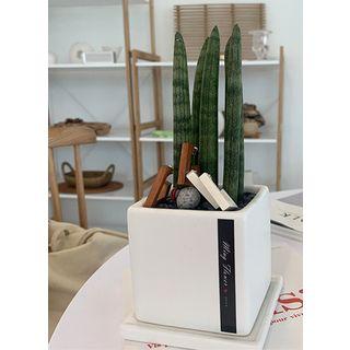 Wooden Square Earrings