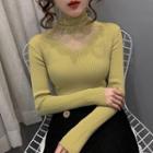 Long-sleeve Lace Panel Turtleneck Knit Top