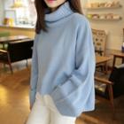 Turtle-neck Wide Long-sleeve Boxy-fit Sweater