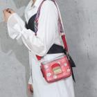 Set: Transparent Crossbody Bag + Pig Print Pouch