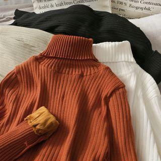Brushed Turtleneck Skinny Sweater