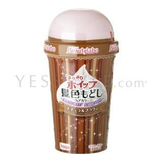 Hoyu - Beautylabo Shake Foam Hair Color (natural Brown) 1 Pack