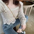 Eyelet Lace Long-sleeve Cropped Top As Figure - One Size