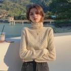 Long-sleeve Turtleneck Lace Top Off-white - One Size