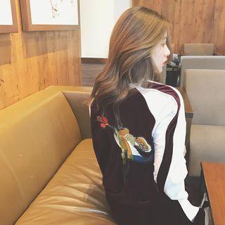 Set : Embroidered Velvet Jacket + Pants
