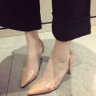 Clear Panel Pointed Pumps