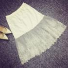 Paneled A-line Lace Skirt