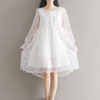 Embroidered Long-sleeve A-line Sheer Dress