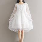 Embroidered Long-sleeve A-line Sheer Dress