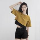 Mock Two-piece Colorblock Cropped Top