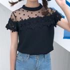 Dotted Mesh Lace Panel Short-sleeve Top