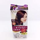 Dariya - Salon De Pro Grey Hair Coloring Liquid (#4r Red Copper Brown) 1 Set