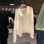 Tie-strap Embroidered Sheer Blouse