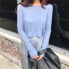 Plain Long Sleeved Cropped Top