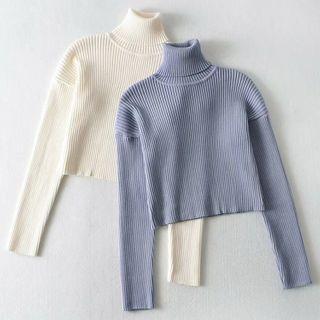 Plain Turtleneck Ribbed Cropped Sweater
