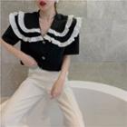 Elbow-sleeve Collared Contrast Trim Blouse Black - One Size