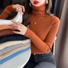 Cowl-neck Slim-fit Warmer Sweater In 9 Colors