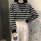 Long-sleeve Striped Cropped Top Stripe - Gray & Black - One Size