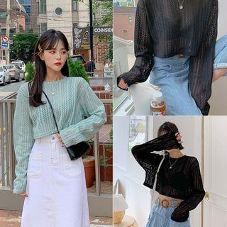 Extra Long-sleeve Open-knit Crop Top