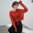 Tie-front Sheer Cropped T-shirt
