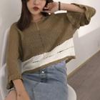 Color Panel Cropped 3/4 Sleeve Sweater