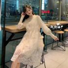 Sleeveless Lace Dress / Long-sleeve Knit Dress