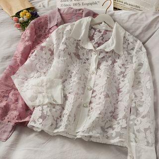Lace Mesh Embroider Floral Blouse