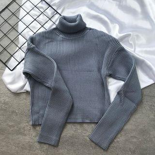 Long-sleeve Turtleneck Ribbed Top