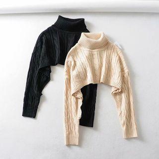 Cropped Turtle-neck Sweater