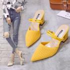 Ribbed Pointy-toe Chunky-heel Mules