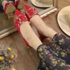 Chunky Heel Pointy Toe Buckled Shoes