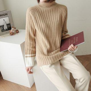 Turtle-neck Contrast-trim Raglan Sweater