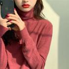Turtleneck Knit Sweater In 13 Colors