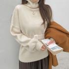 Turtleneck Belted Sweater