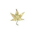 Elegant And Fashion Enamel Maple Leaf Brooch Silver - One Size