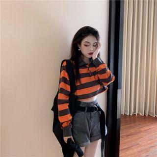 Cropped Striped Long-sleeve Polo Shirt