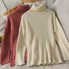 Turtleneck Slim-fit Sweater In 5 Colors
