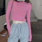 Long-sleeve Round Neck Plain Cropped T-shirt
