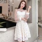 Long-sleeve Dotted Mesh Panel A-line Lace Dress